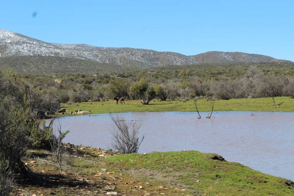 Rancho de 20 hectáreas en Ensenada , México 50 mil dólares