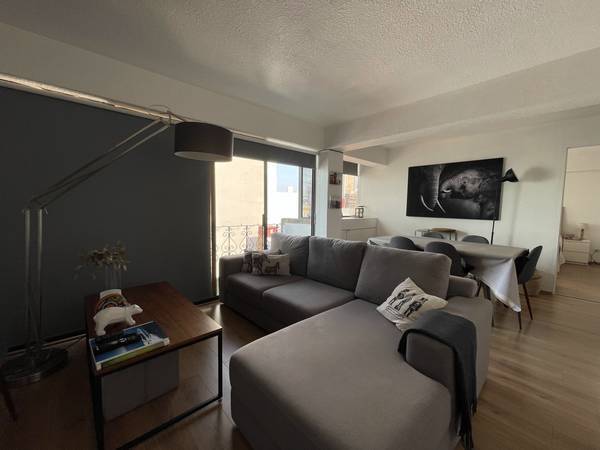 Furnished, Recently Remodeled Apartment (Mexico City, Anzures/Polanco)