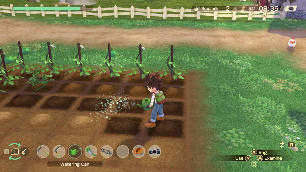 Story of Seasons: A wonderful life