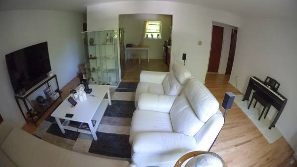 $900 Roomate Needed