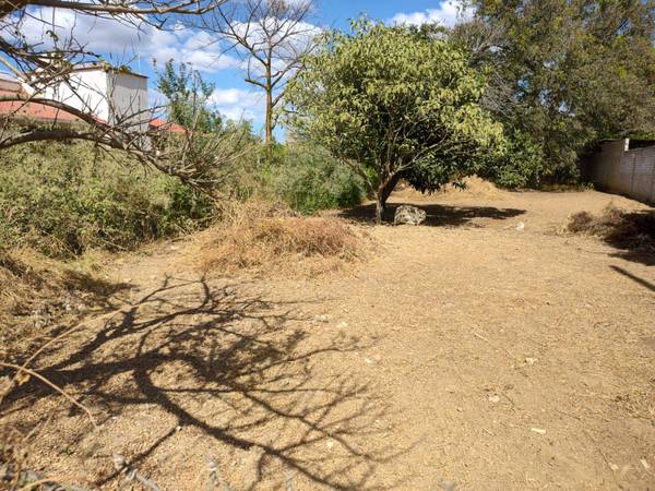 Beautiful land in Oaxaca