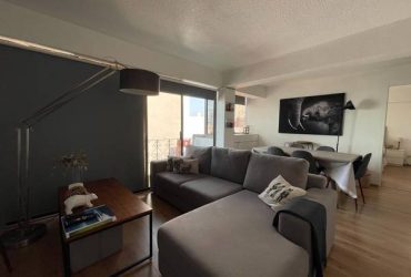 Furnished, Recently Remodeled Apartment (1 block from Polanco)