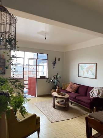 Gorgeous Sunny Apartment sublet in CDMX