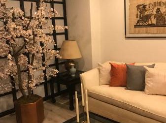 POLANCO BEAUTIFUL 1 bedroom FURNISHED.