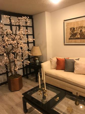 POLANCO BEAUTIFUL 1 bedroom FURNISHED.