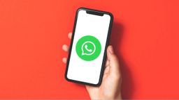 El tercer check azul de WhatsApp acabará con uno de sus problemas más molestos