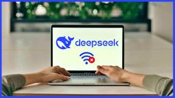 DeepSeek sin internet