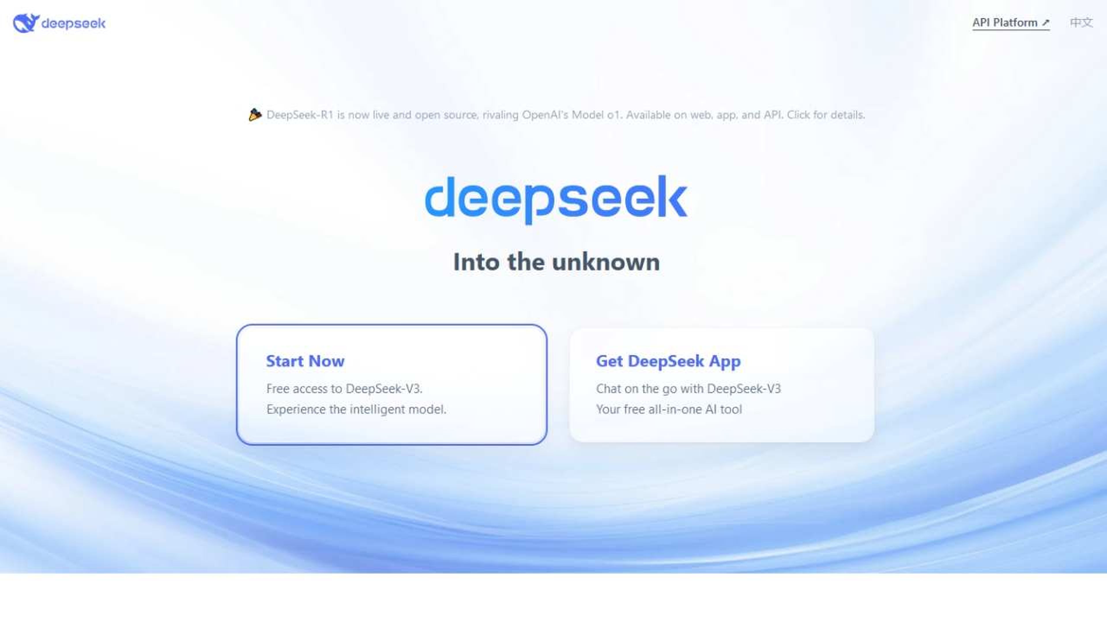 DeepSkeek