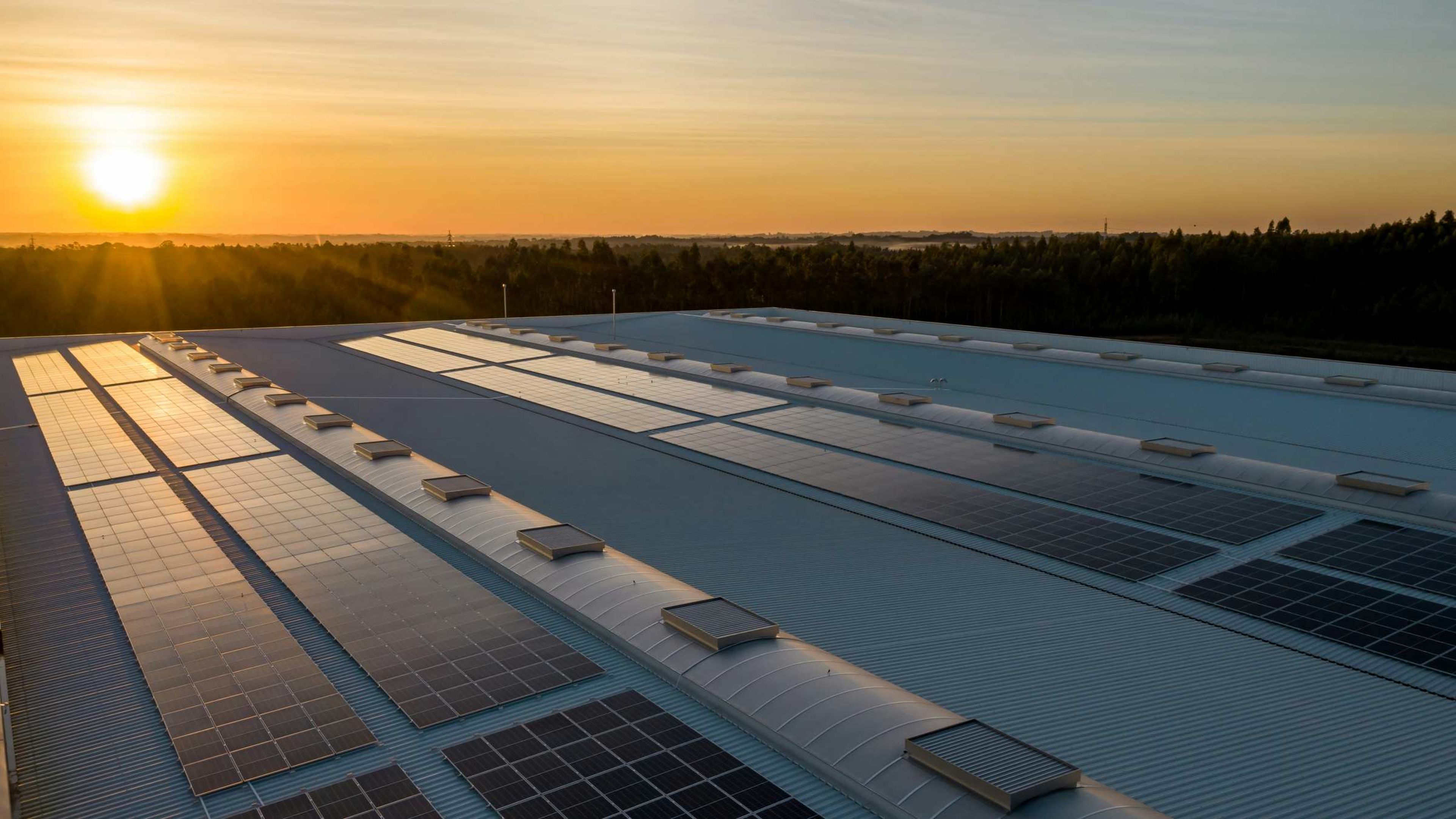 Paneles solares de energía solar