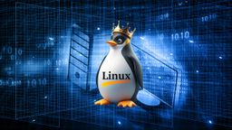 Qué es el "parche del rey pingüino" de Linux y por qué deberías instalarlo ahora mismo