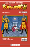 Bola de Drac Super (Série Super) #318