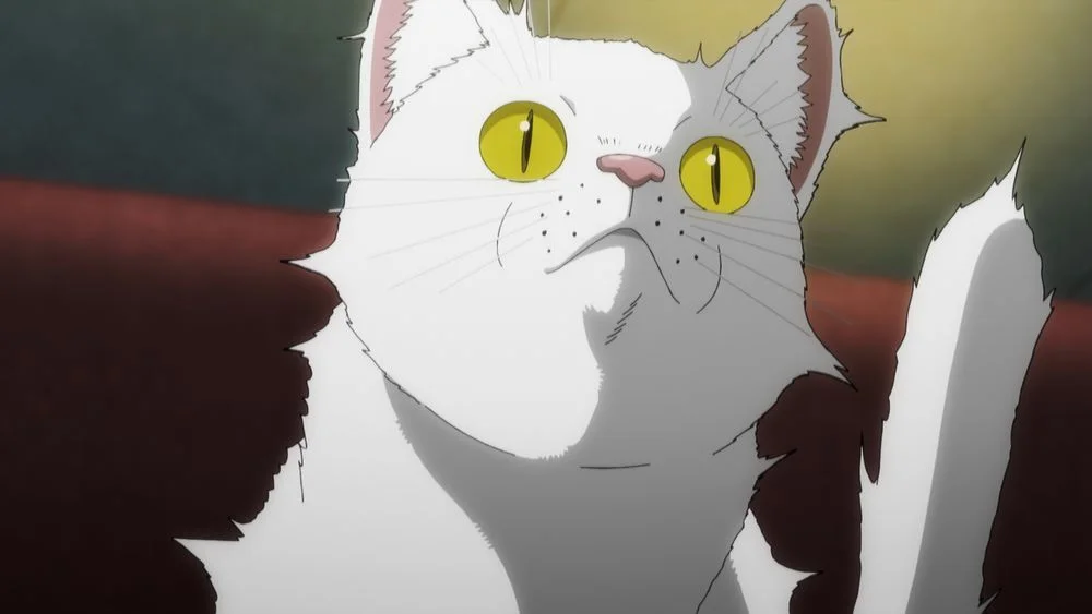 Nuevo tráiler del anime de Nyaight of the Living Cat